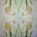 035 Calla - 3-ply